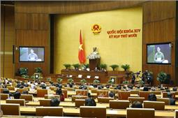 Ngày 11/11, Quốc hội tiến hành công tác nhân sự và thông qua Nghị quyết về kế hoạch phát triển KT-XH năm 2021
